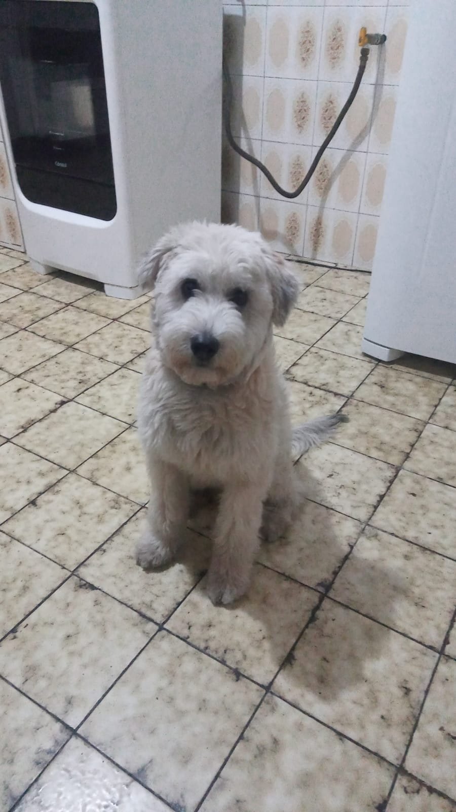 Julio César 