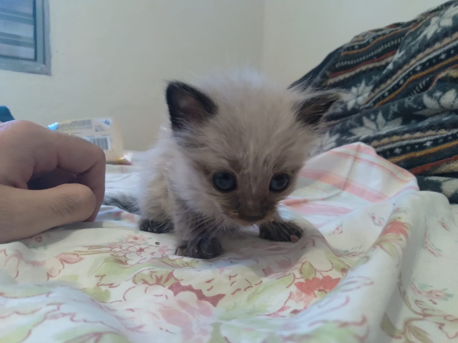 Pixel