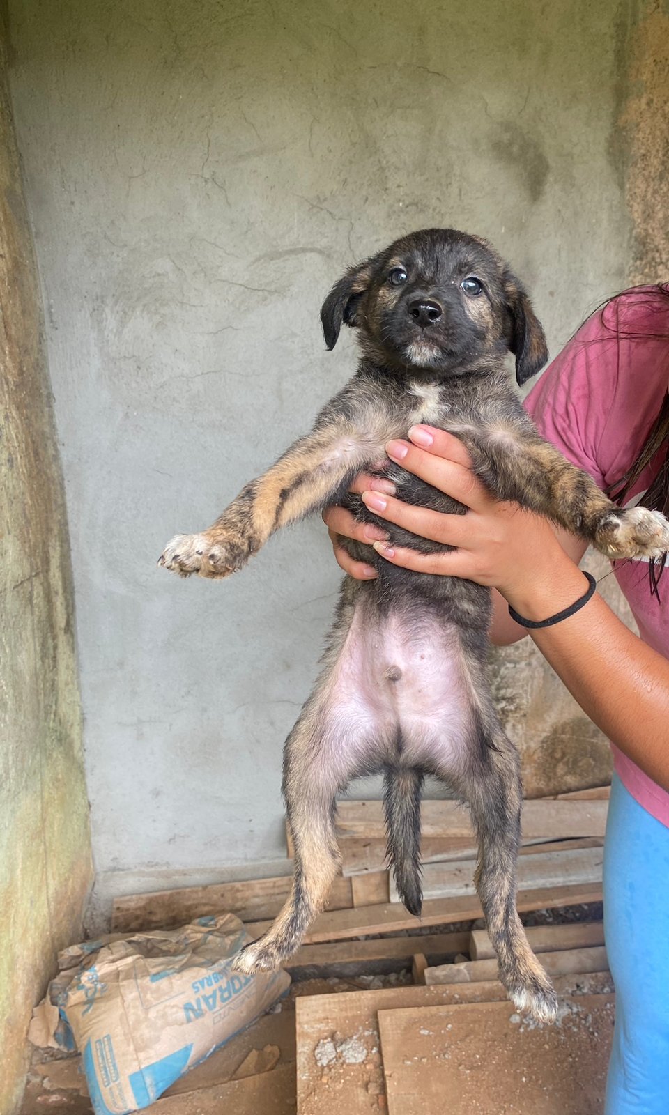 Fumaça