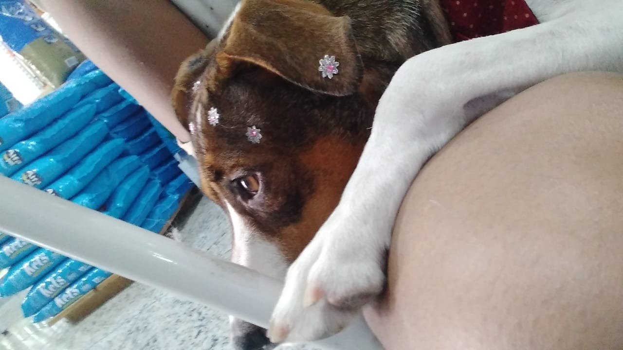 Nica