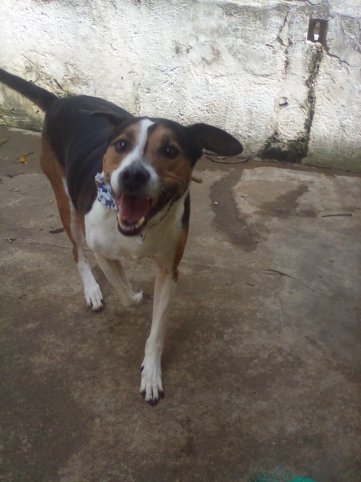 BARTO
