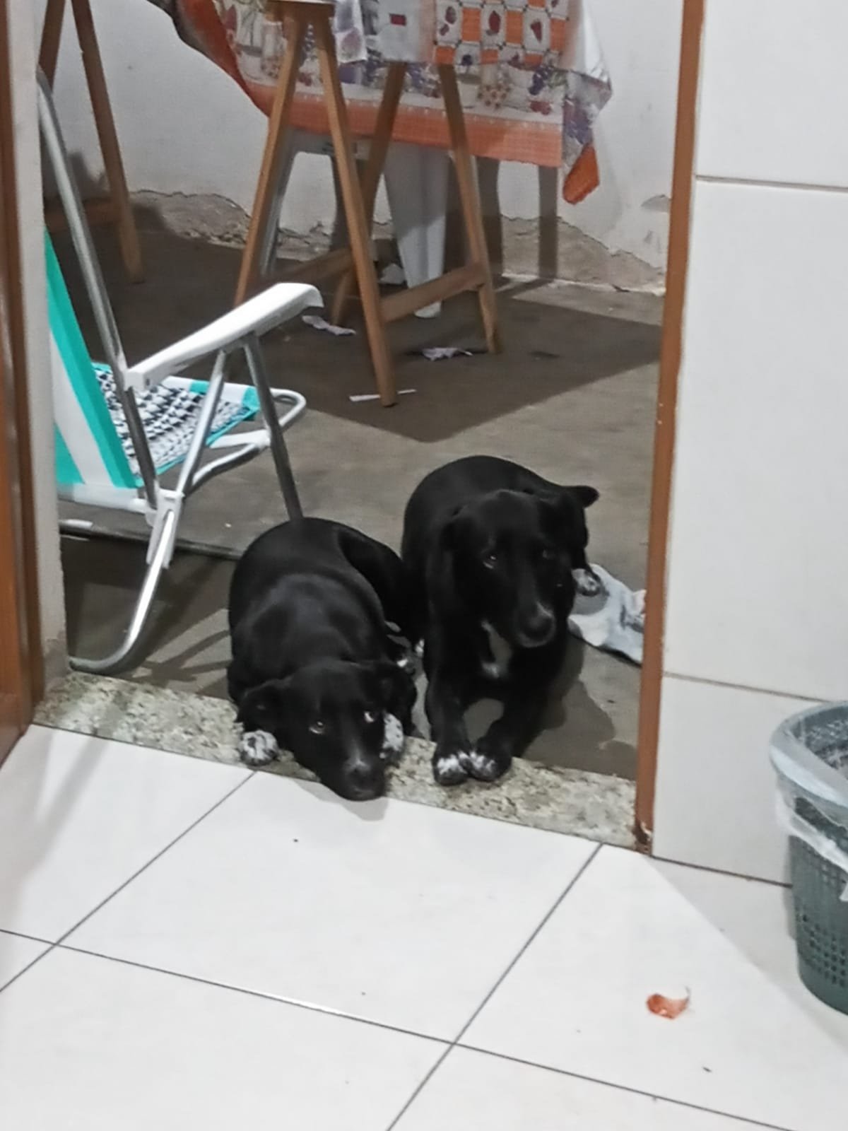 Pretinha e Pequena