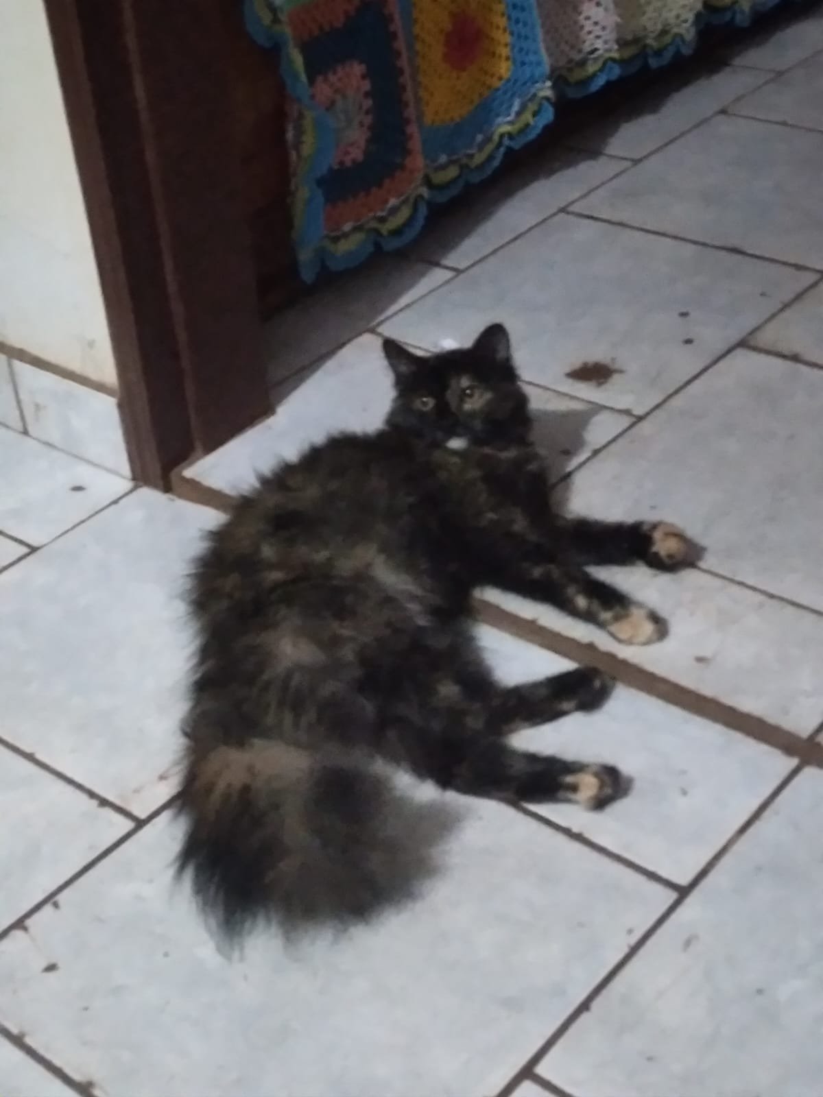 Mel