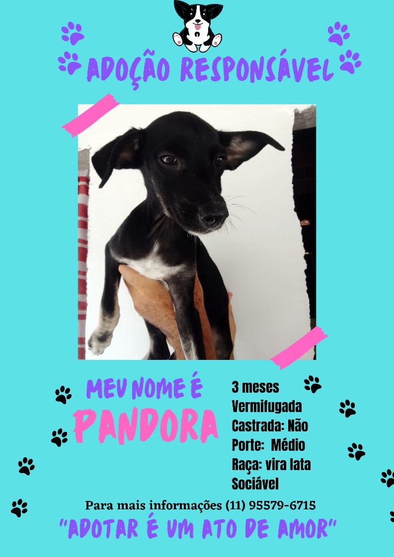 Pandora 