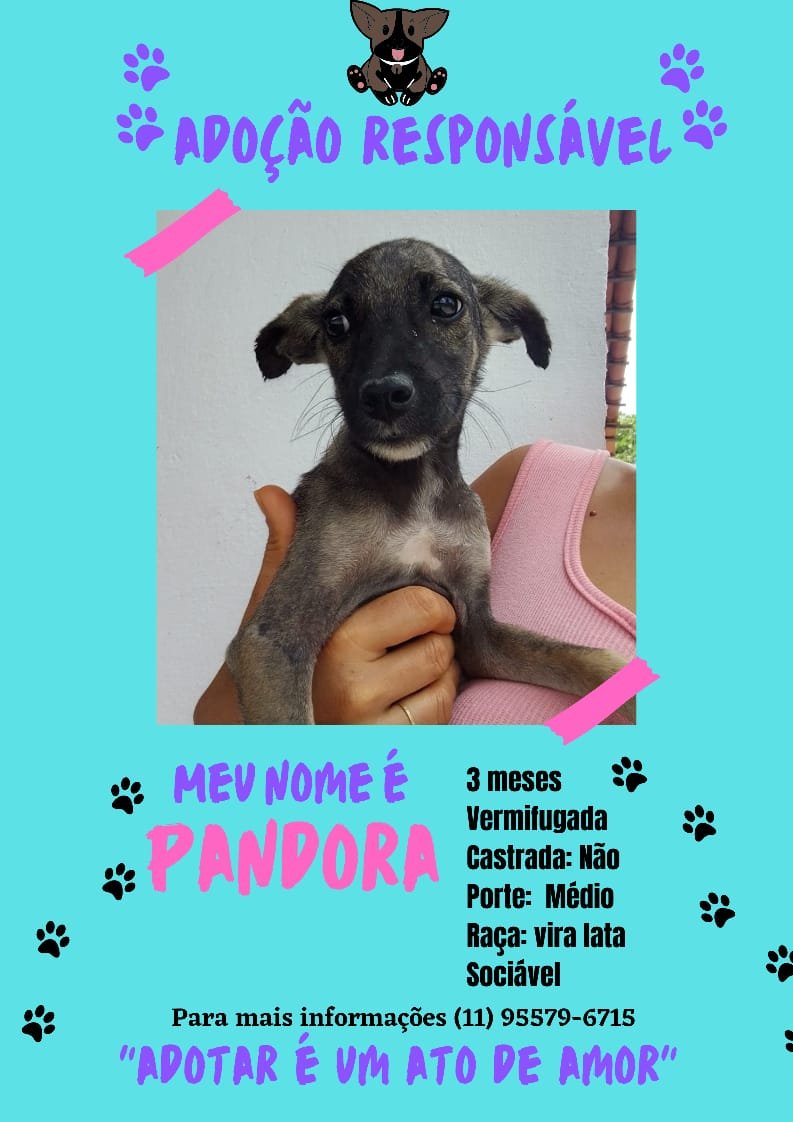 Pandora