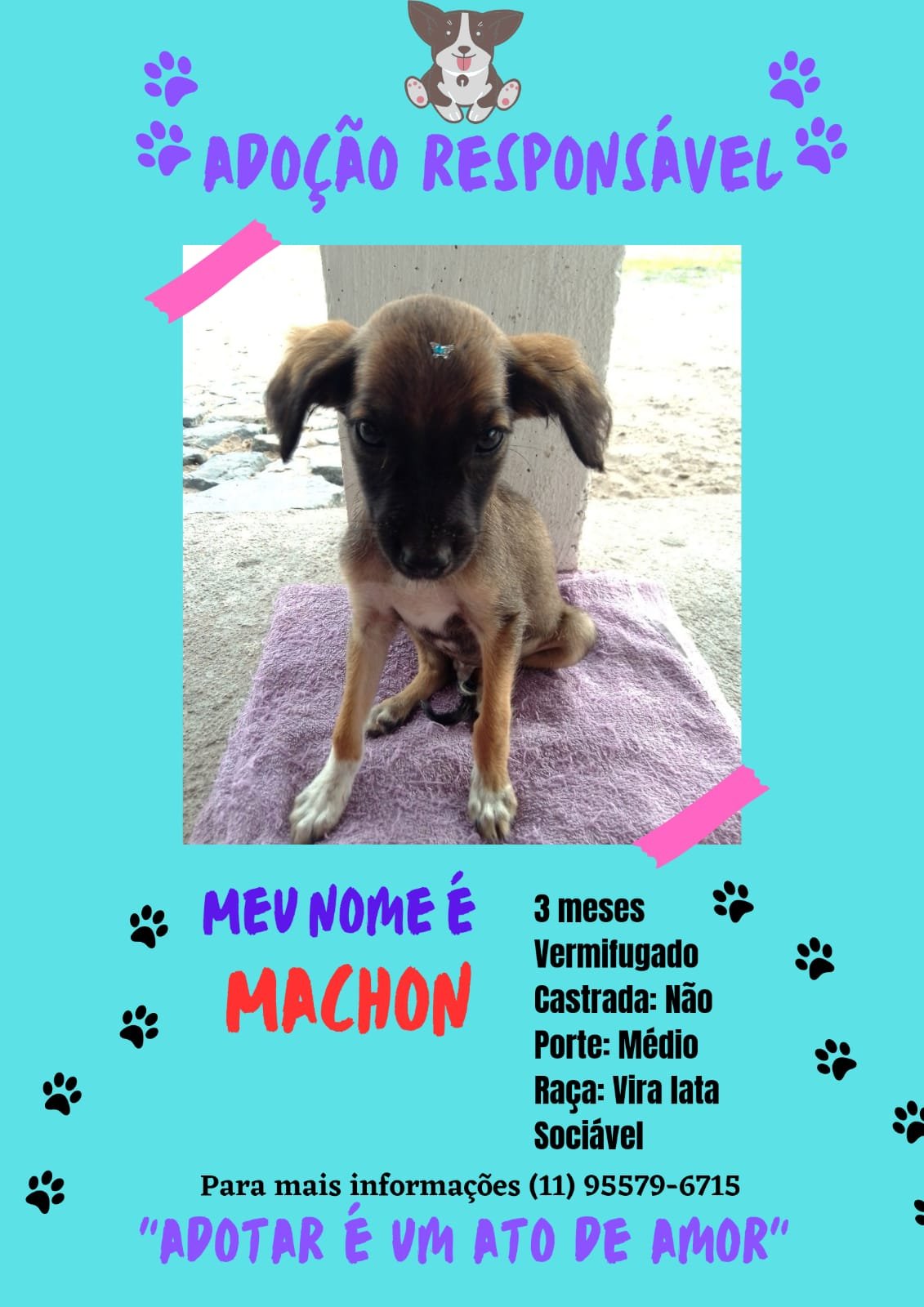 Machon