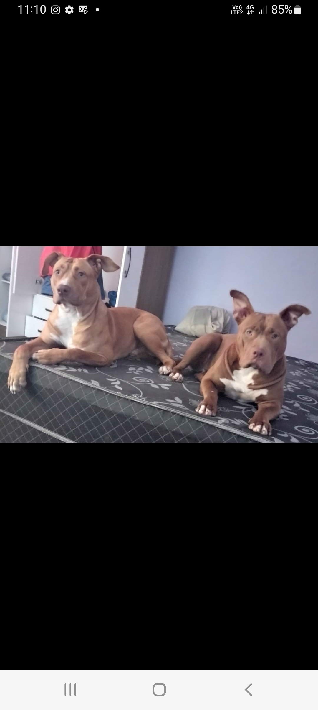 Drack e Moana