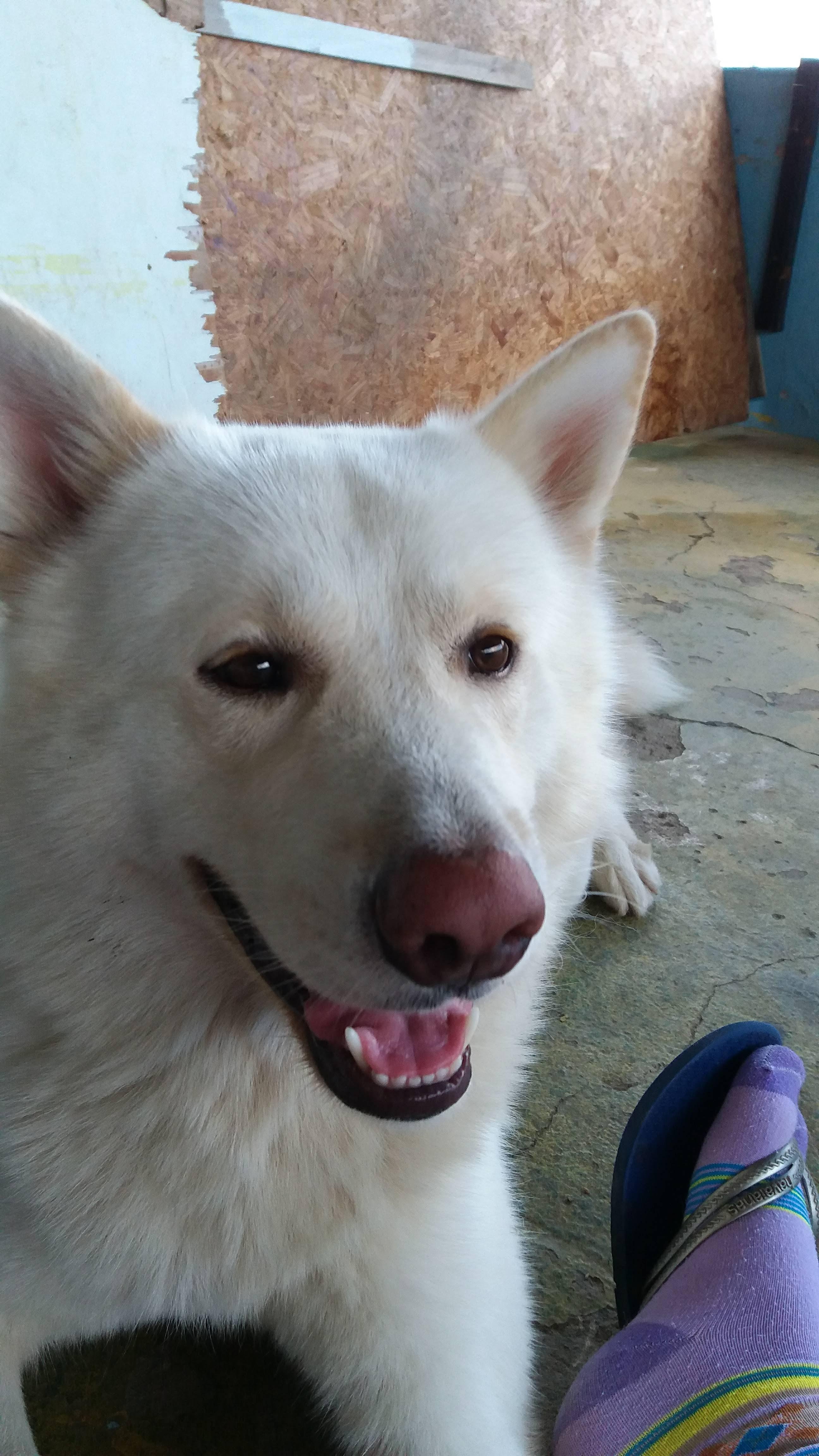 ROMEU