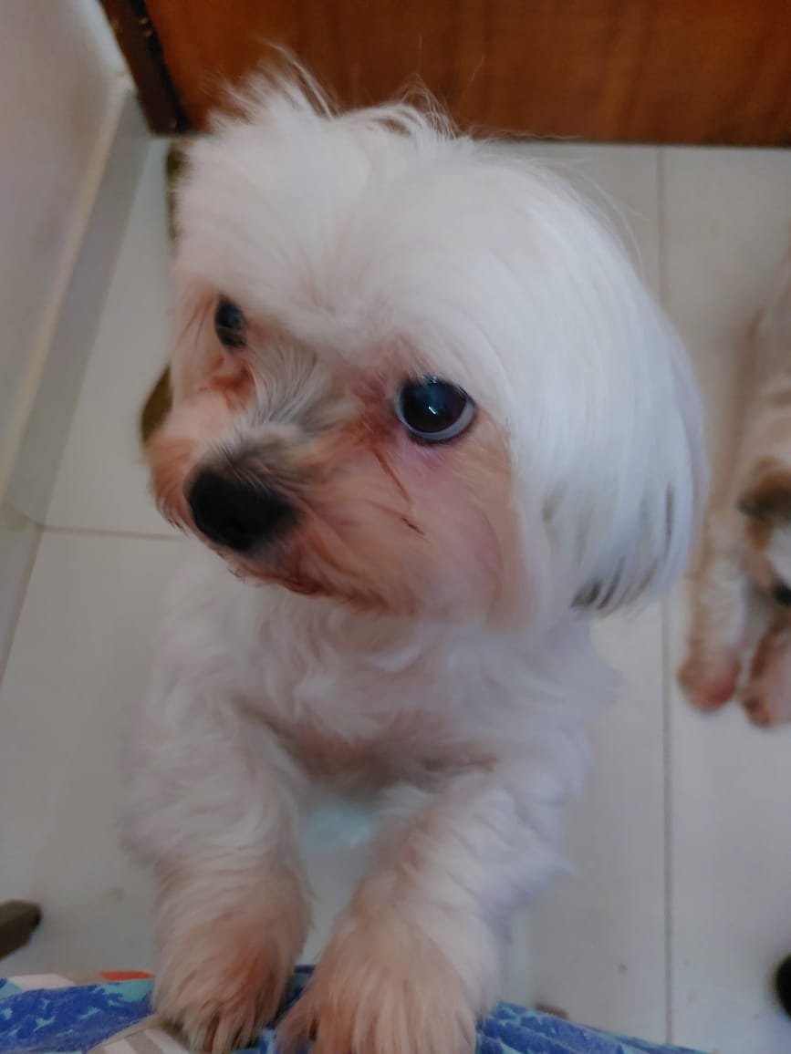 dany