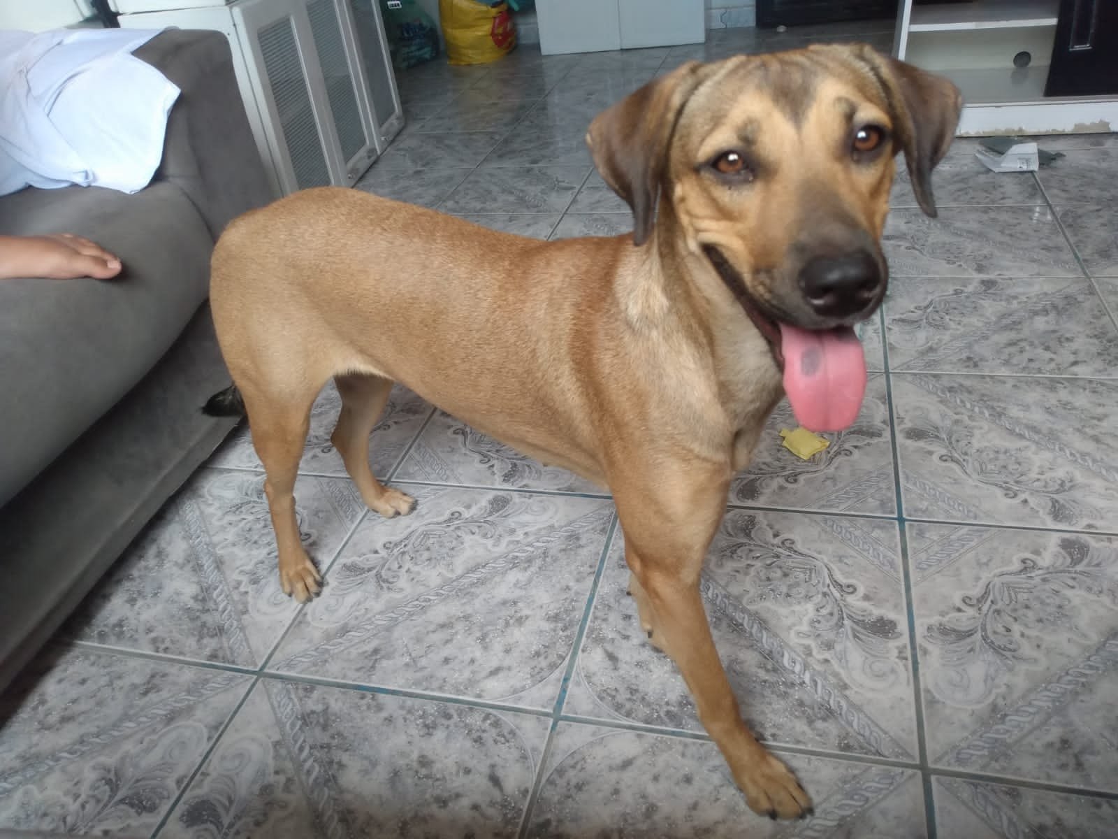 princesa