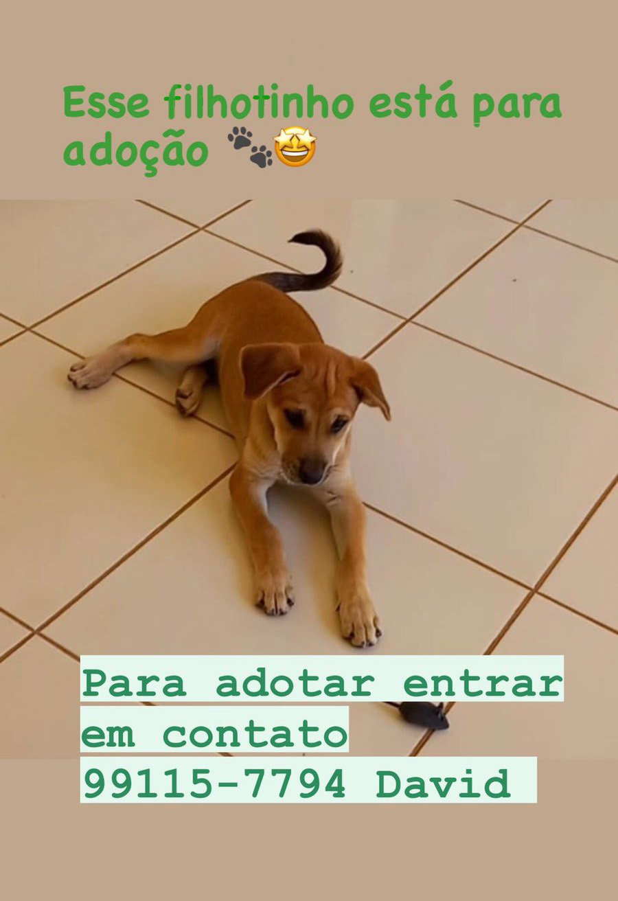 Prícipe