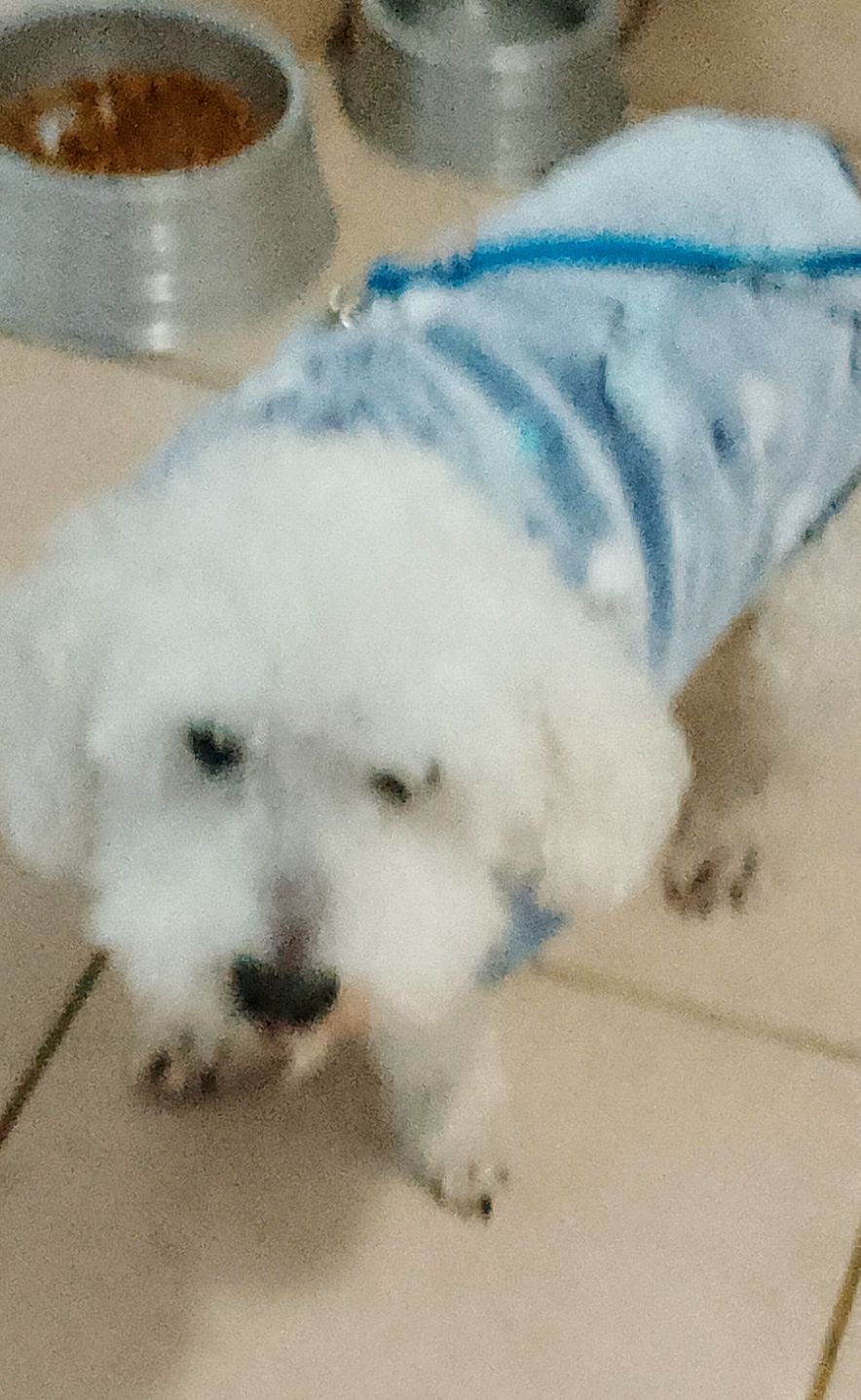 Nick