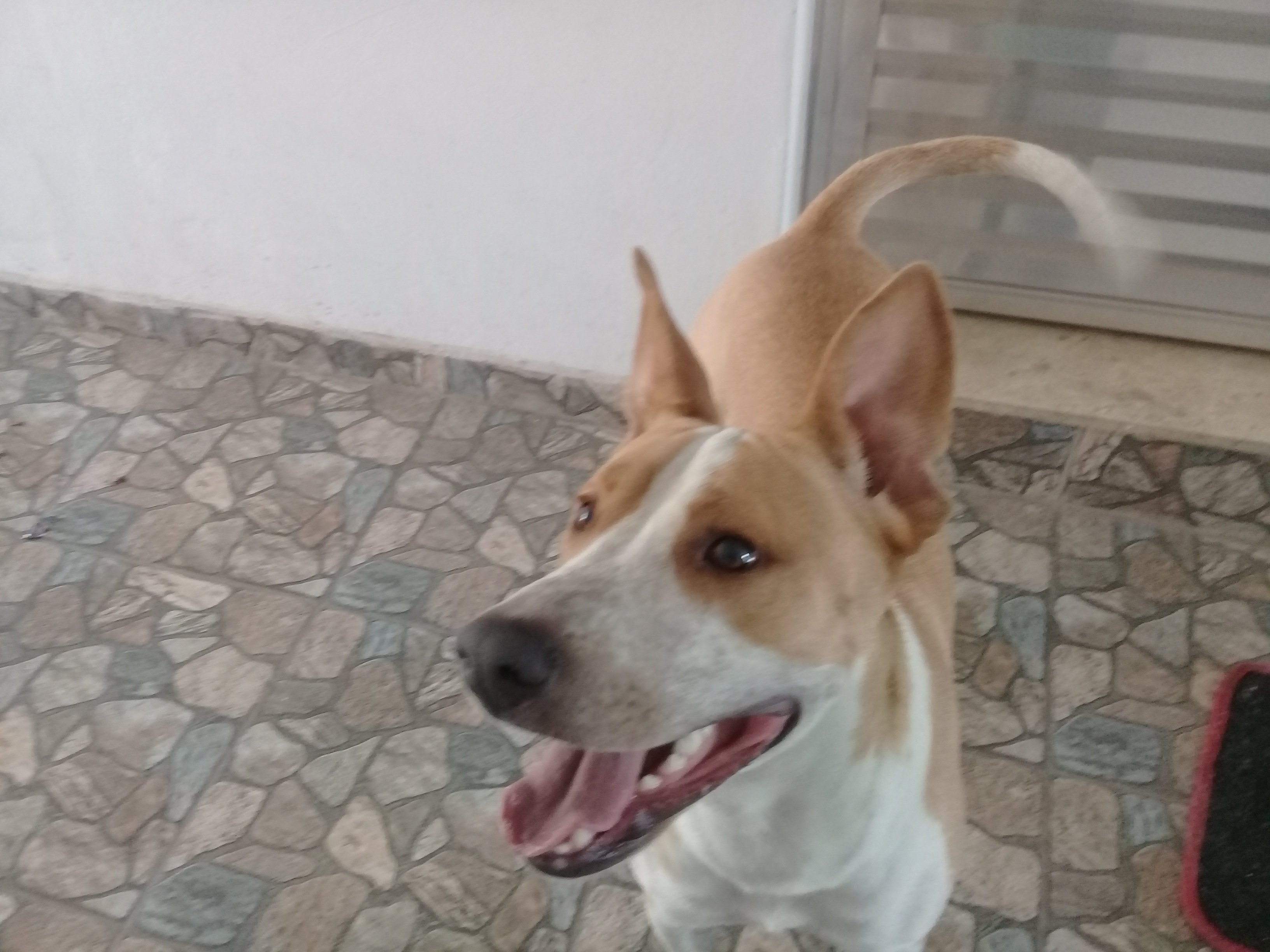 Benny