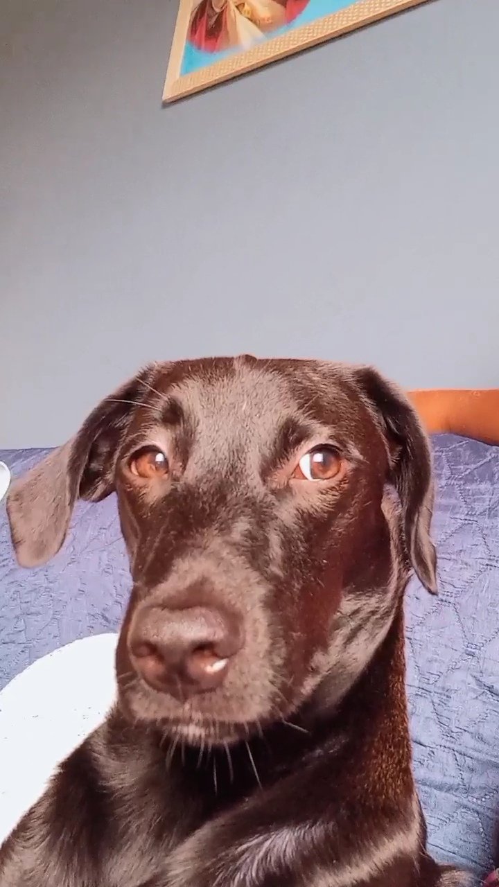 NEGÃO 