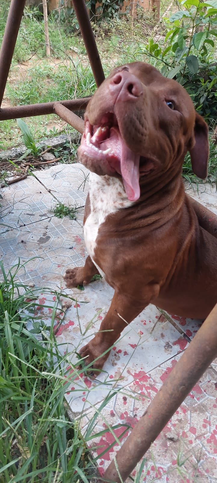 Zeus