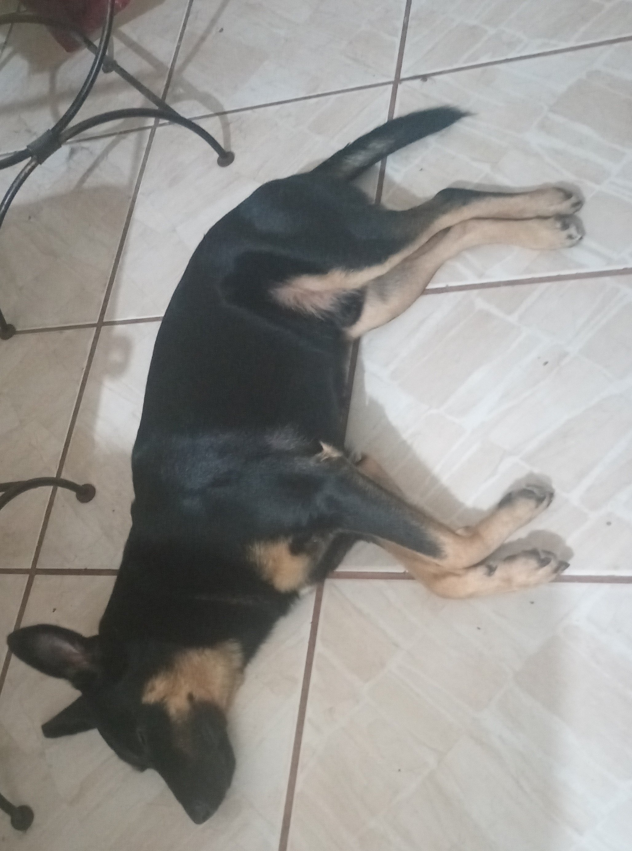 Boby