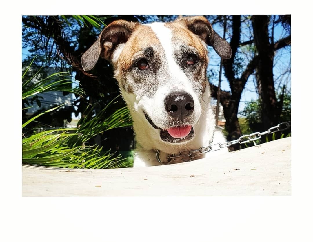 Lola
