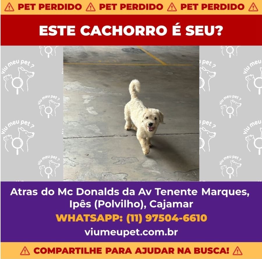 PROCURA-SE O DONO