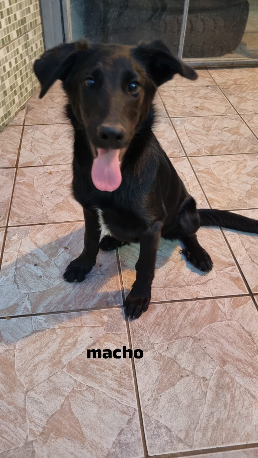 Pretinho