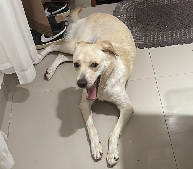Luna