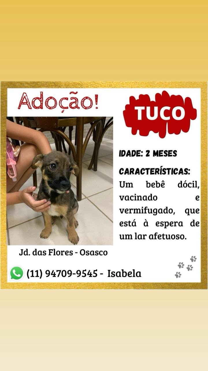 TUCO