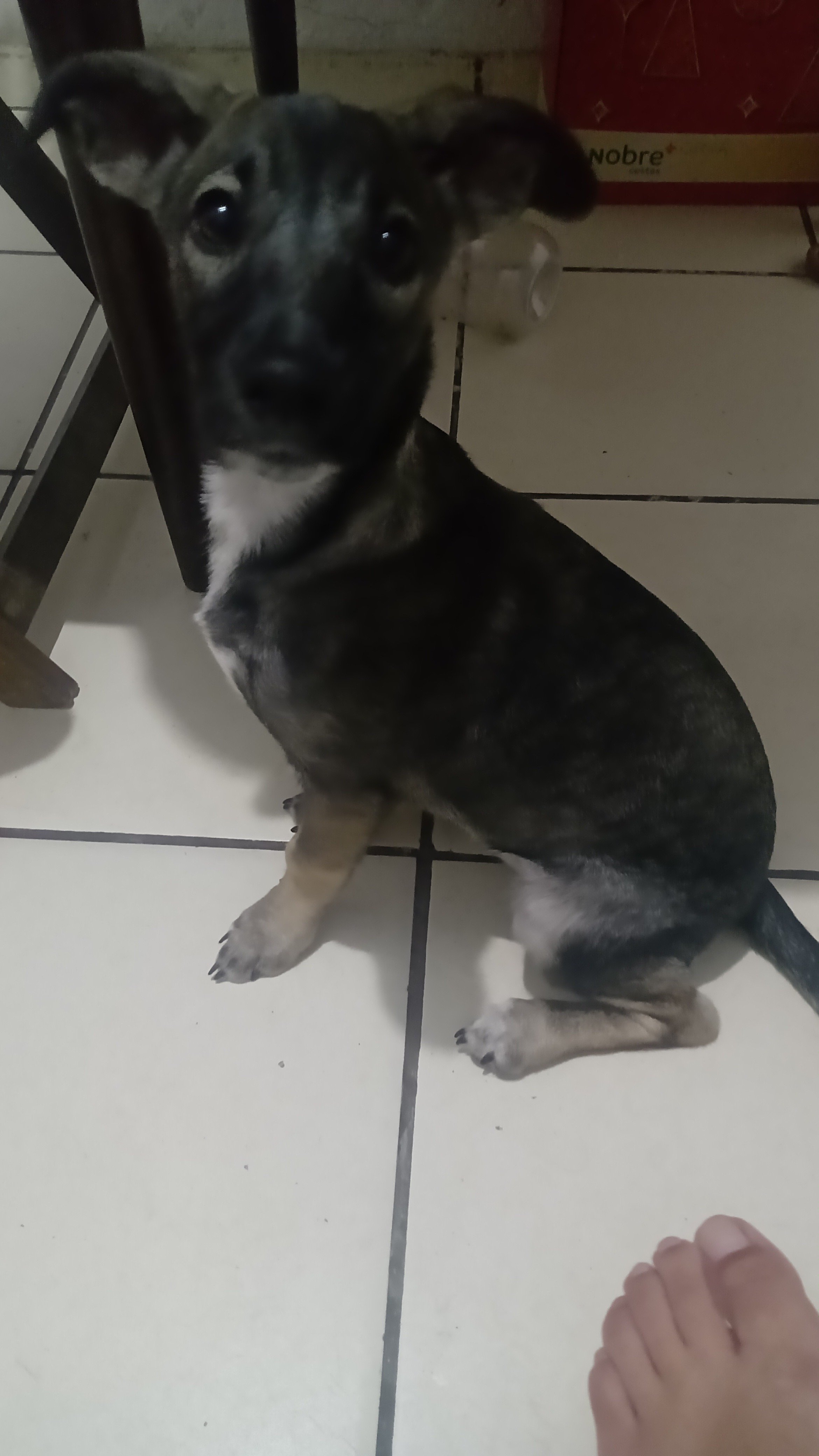Mel