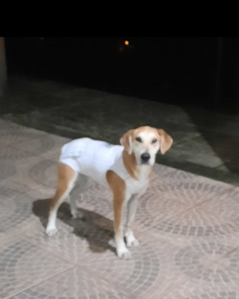 Flokita