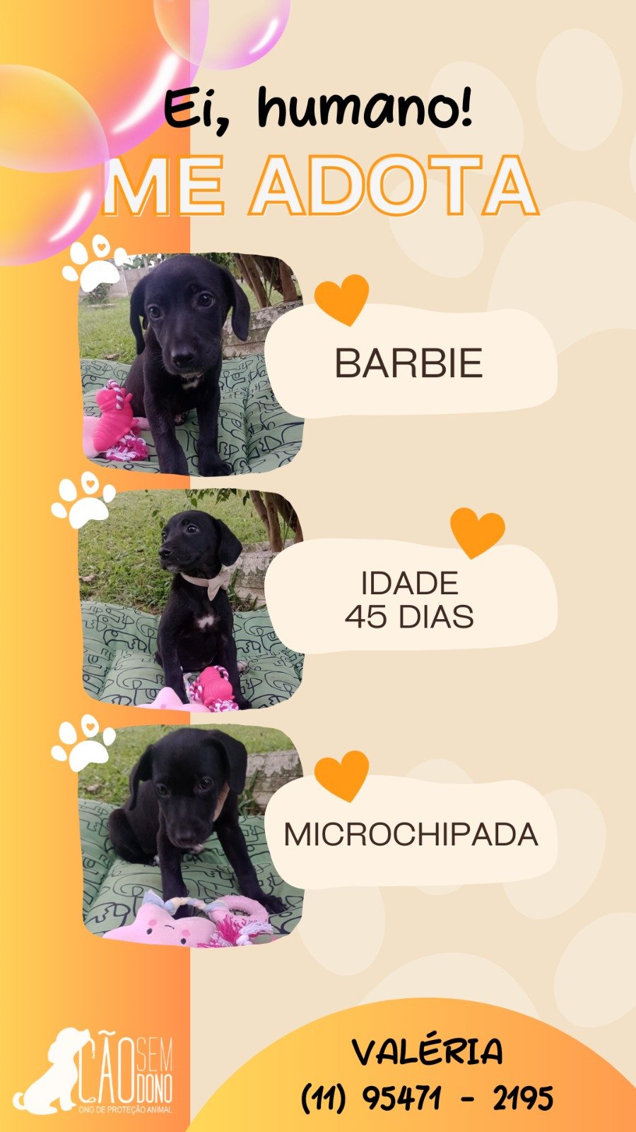 Barbie