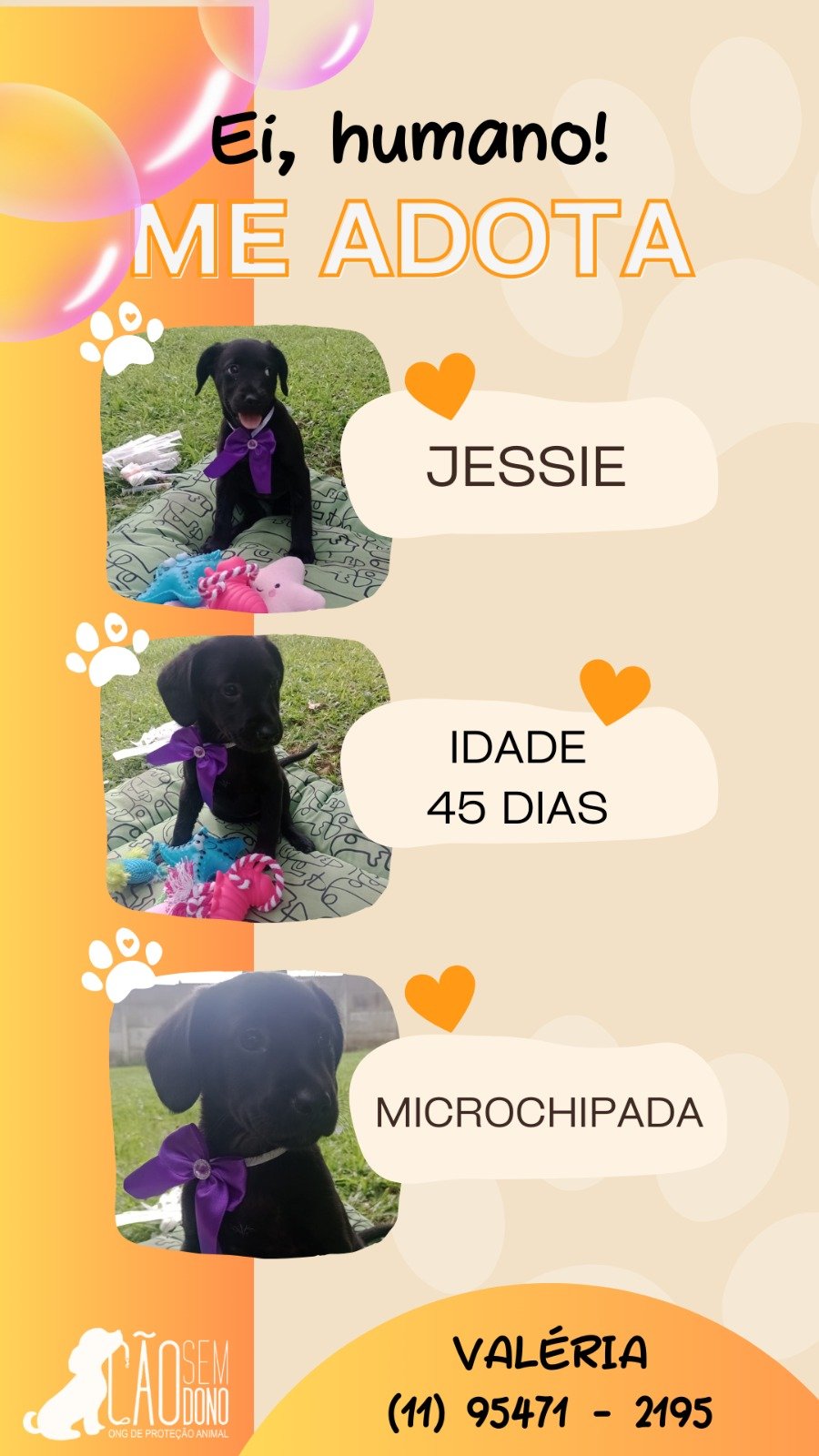 JESSIE