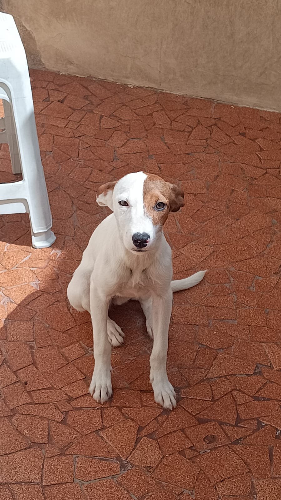 Princesa