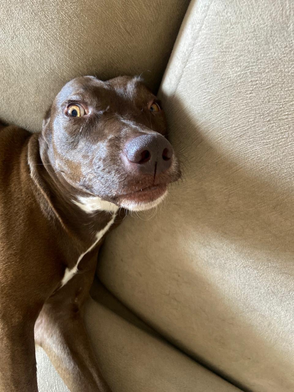 Paçoca