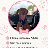 Morena