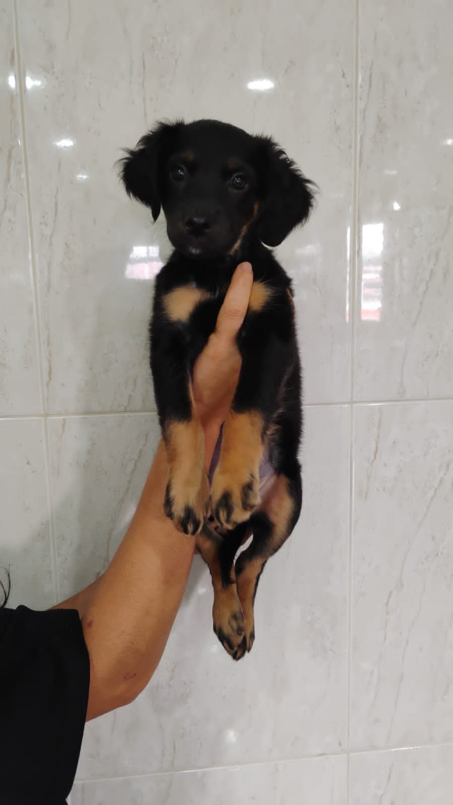 Nalah