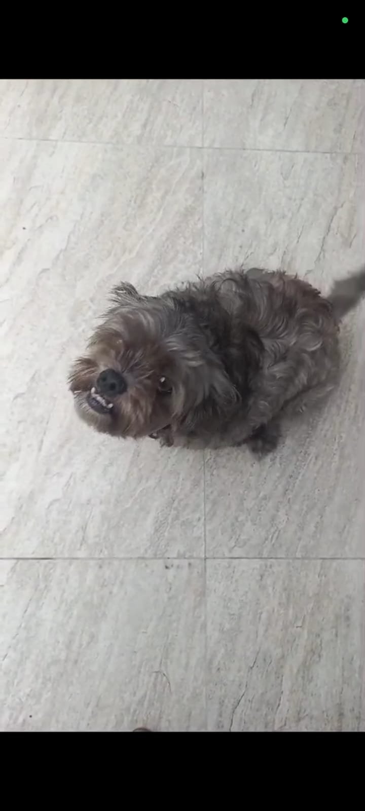 mel