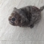 mel