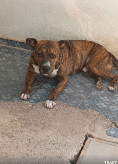 Zeus