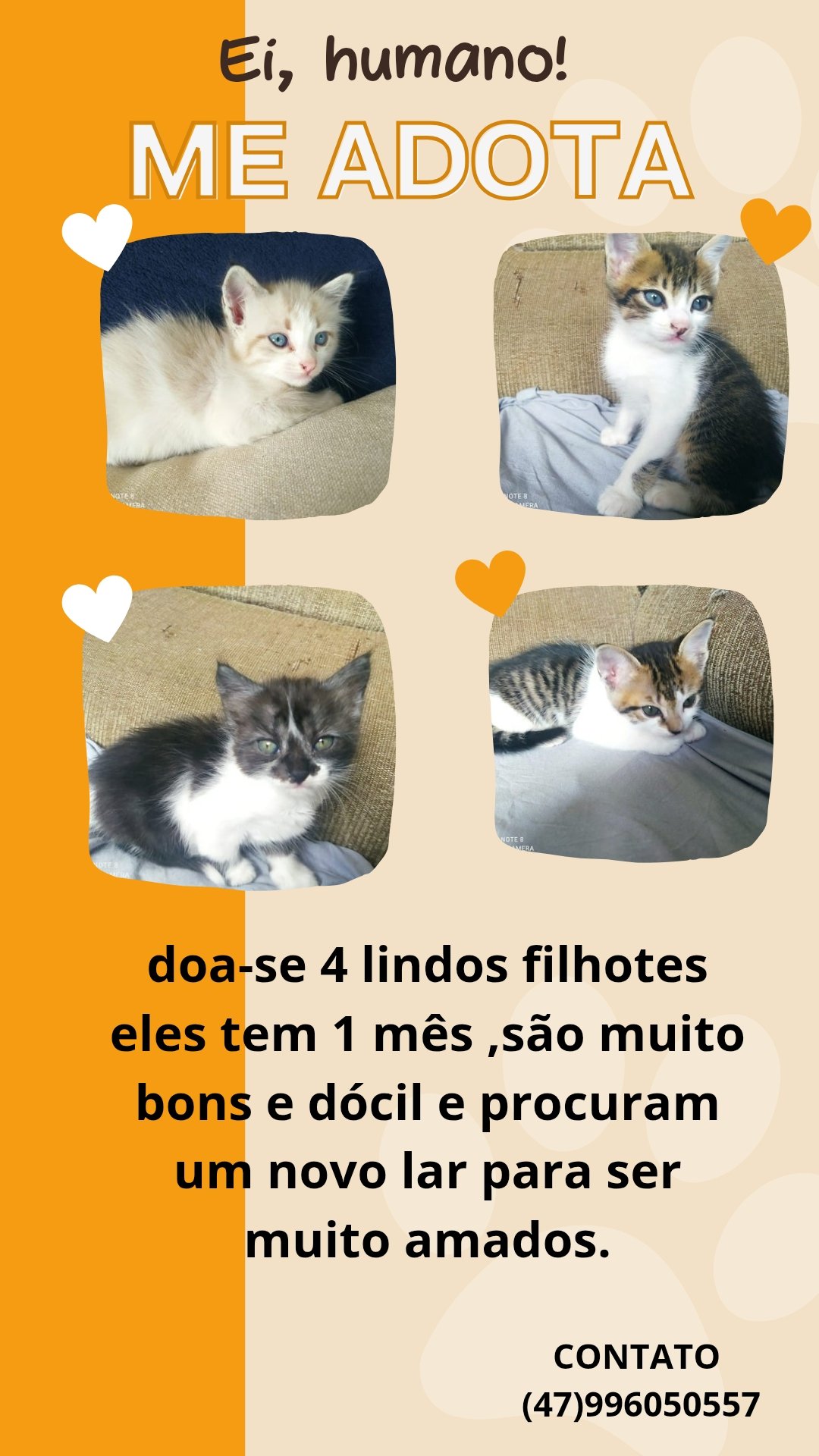 Não tem 