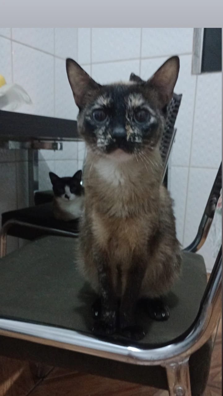 Katty