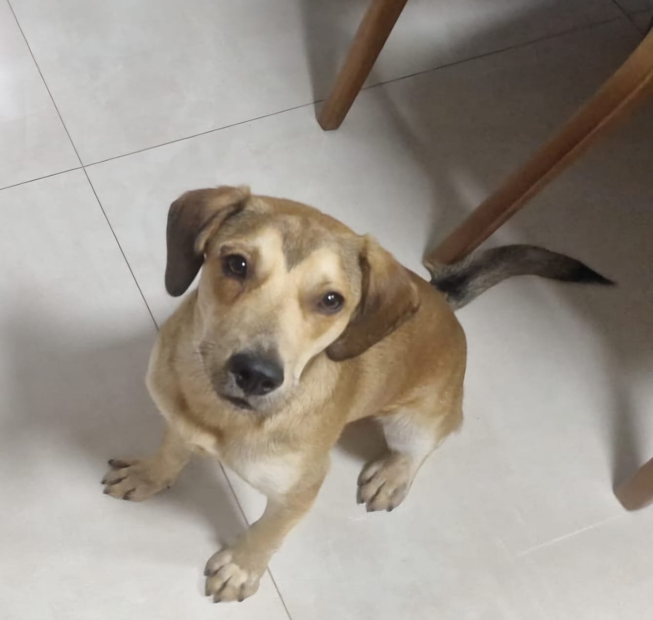 José Luiz