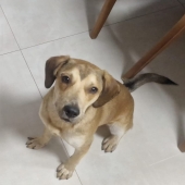 José Luiz