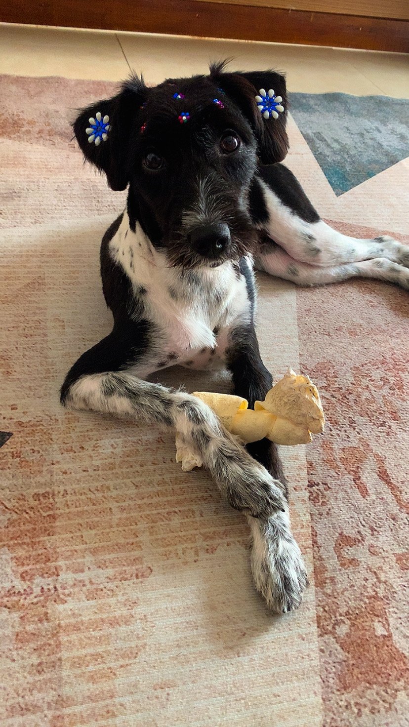 Lily
