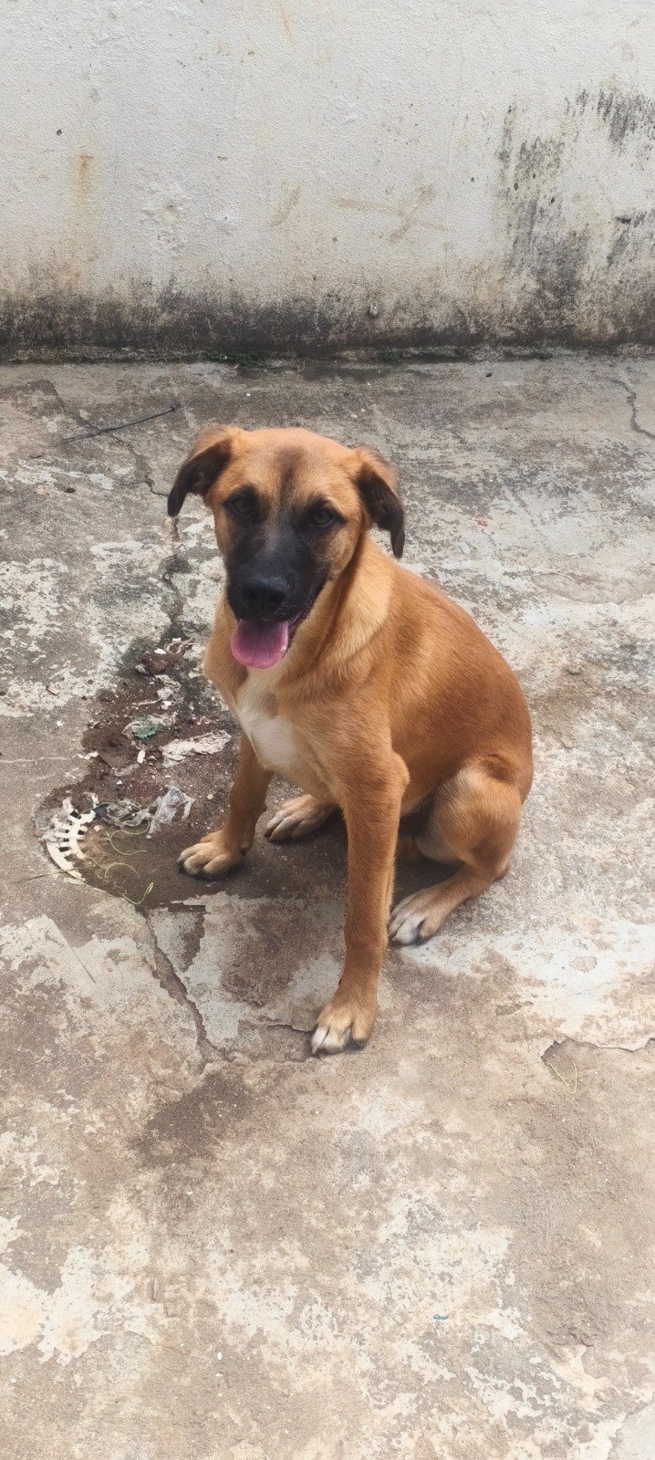 Spike 