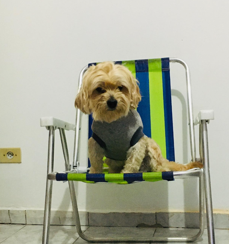 Apolo