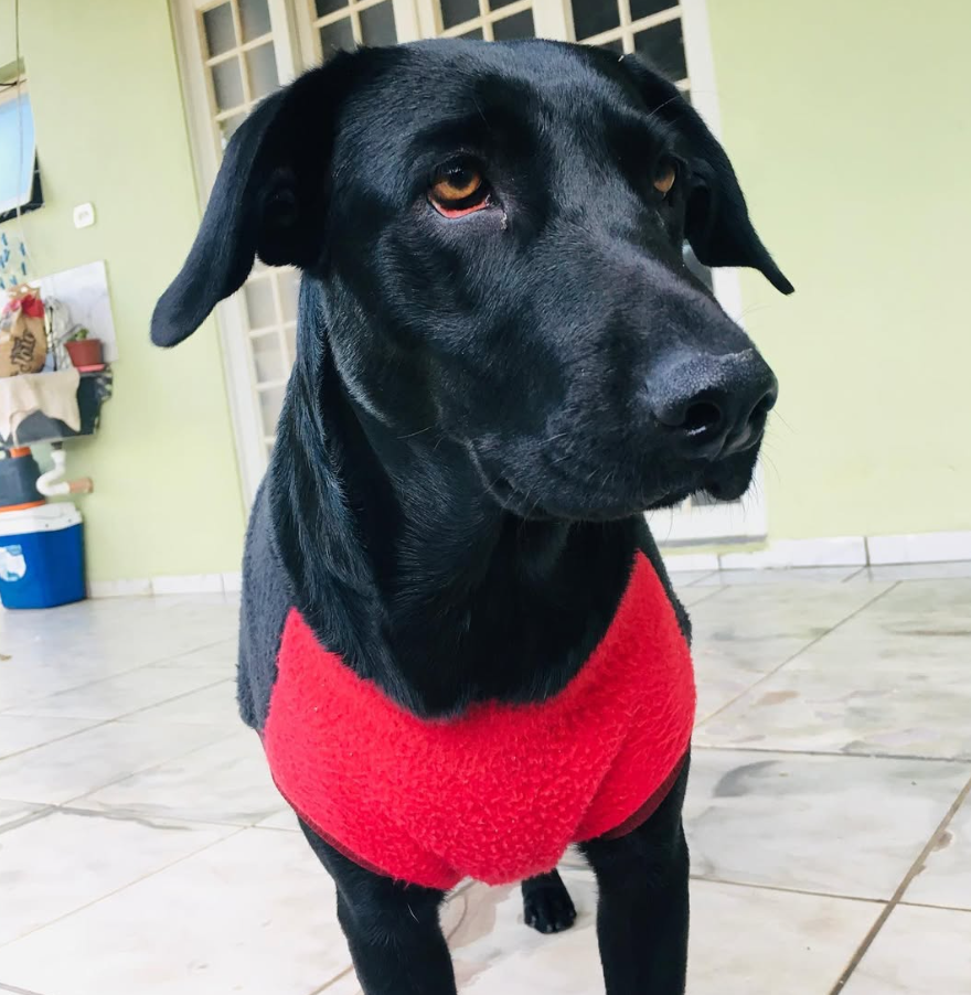 Lua